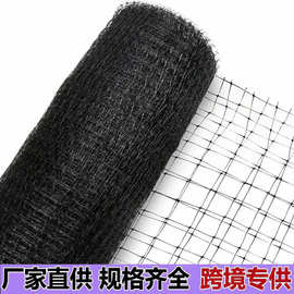 跨境品防鸟网PP塑网花园植物水果蔬菜保护网鸟网拉伸塑网厂家