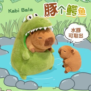 ��Ƥ������żë�q�����������ţ�͹�ˮ�������նY������}�Q�Y��