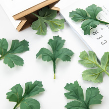 ���滨֦�� ������~�廨���ϴ����o���ֹ�diyֲ������S�����l