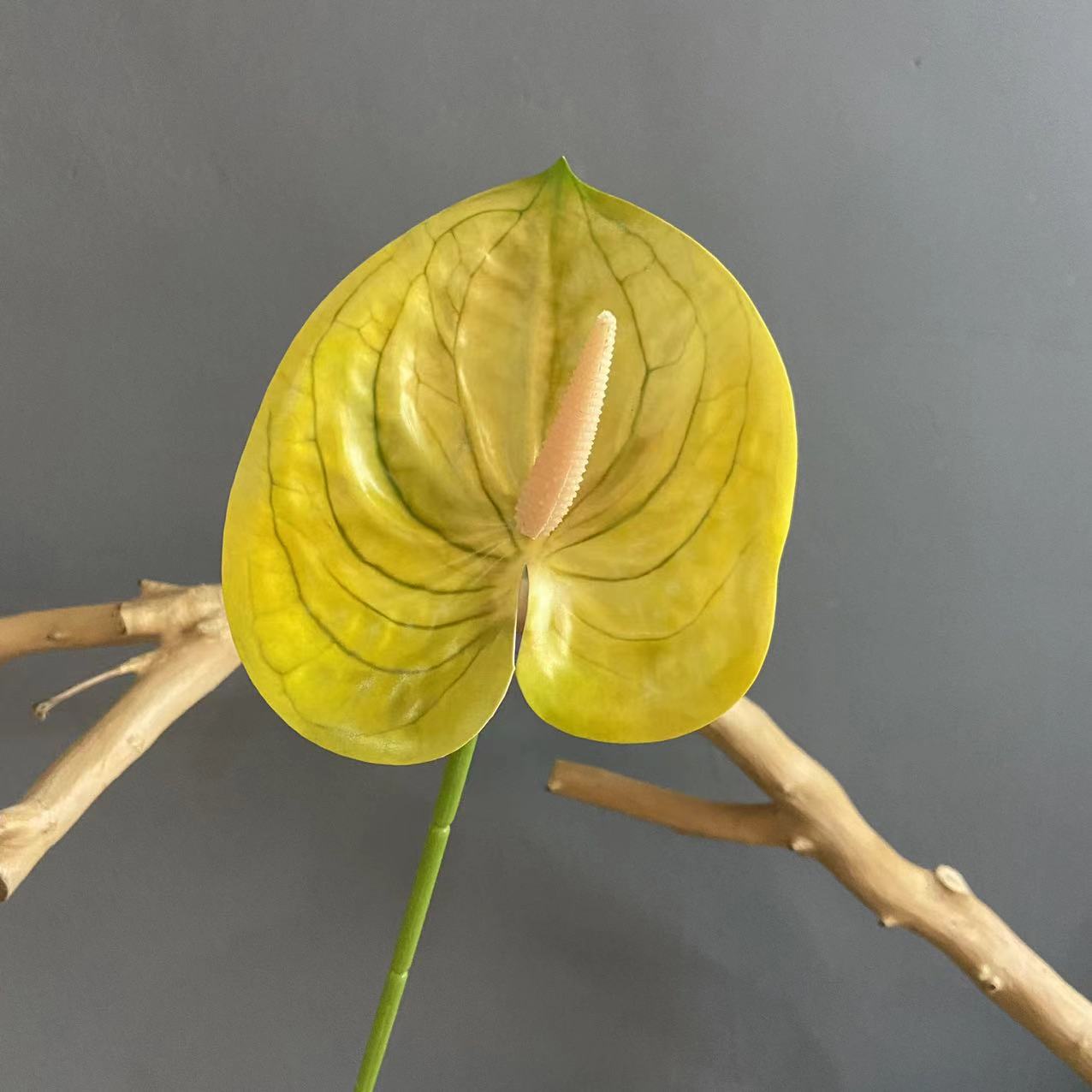 #9 (색상 당 10 스틱 픽업, 덜 쏘지 마십시오)