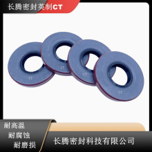 ӢCTιǼNATIONAL̙Cе܇TBͷܷȦ