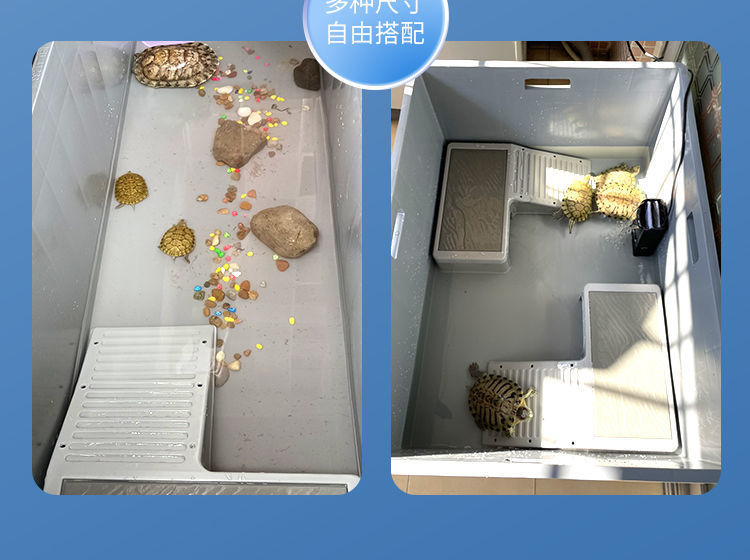 bf0fea26-0977-483d-925c-f5aecdb7e965.jpe