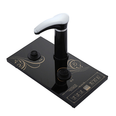 23*37cm 검정색 완전 자동 호스트