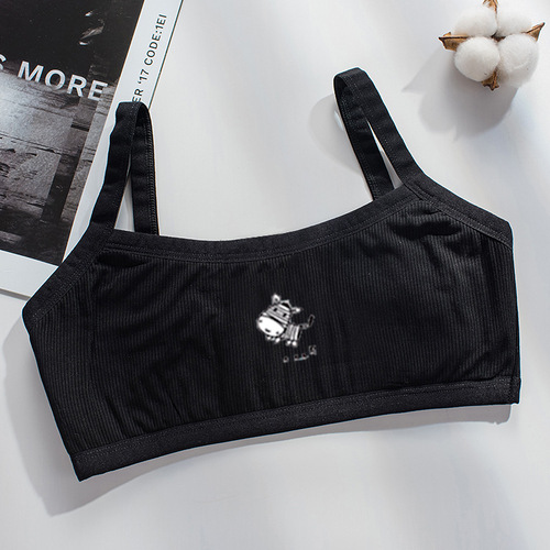 Growth period small vest female student underwear primary and junior high school students 16-year-old girl bra girl innerwear bustier agency 