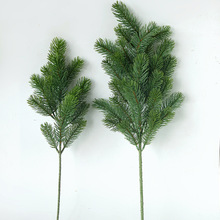 ɼ��֦���ɼ�t��ɼ��ɼ�}�Q�ɘ�֦����������b���ᘰؘ��~