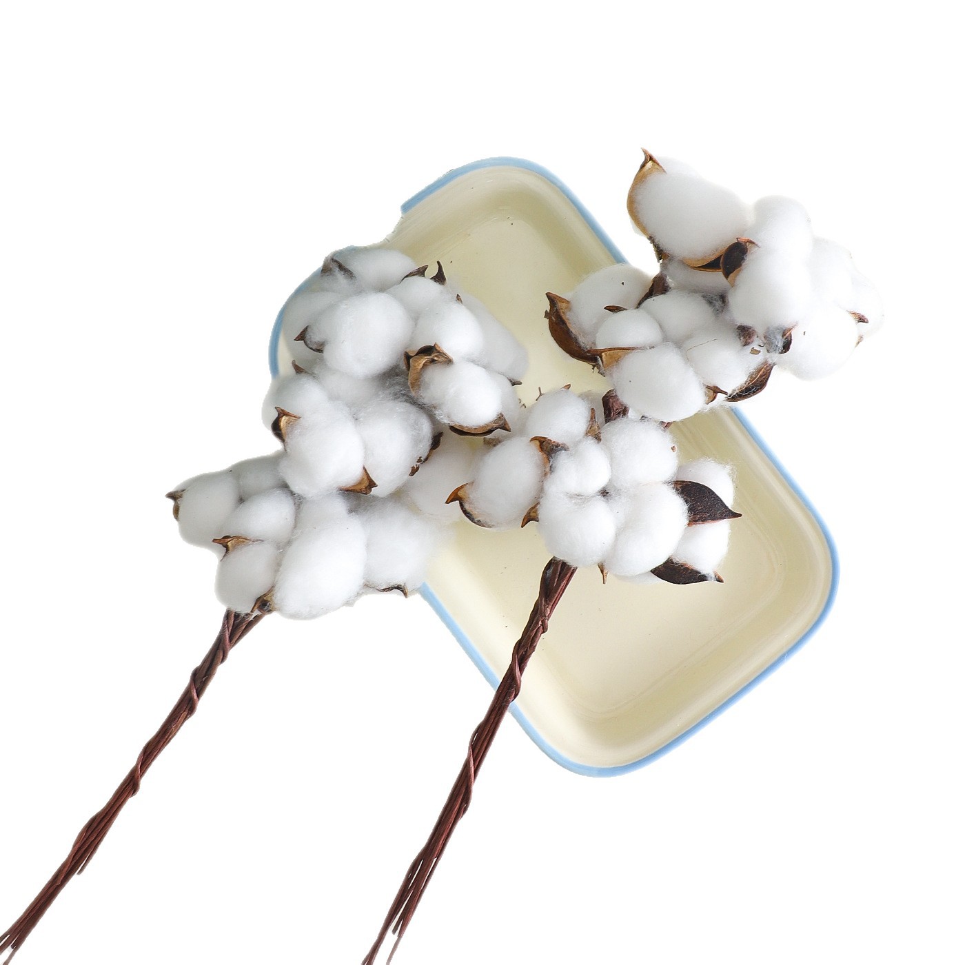 Navidad ins caparazón de algodón natural con varilla flor seca flor artística DIY accesorios ramo florista material de decoración