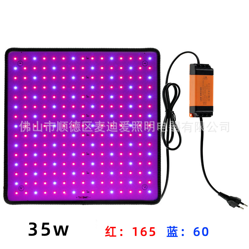 225LED (rojo y azul)