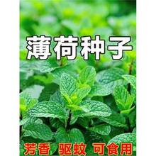 ��ʳ�ñ��ɷN�Ӷ������ļ��׷NͥԺ��������؈���������ݷN��