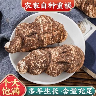 ��Ʒ��ϵ��ؘ���ș�ķ�Ұ�������ؘ�Ƭ�۪���ɏ�������~һ֦��