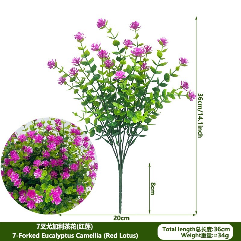Camellia eucalyptus-2
