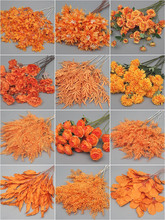 ��c��ɫ���Ľ�ɫ�����廨�bٻ���Y�ò��õ�픽���ˇ