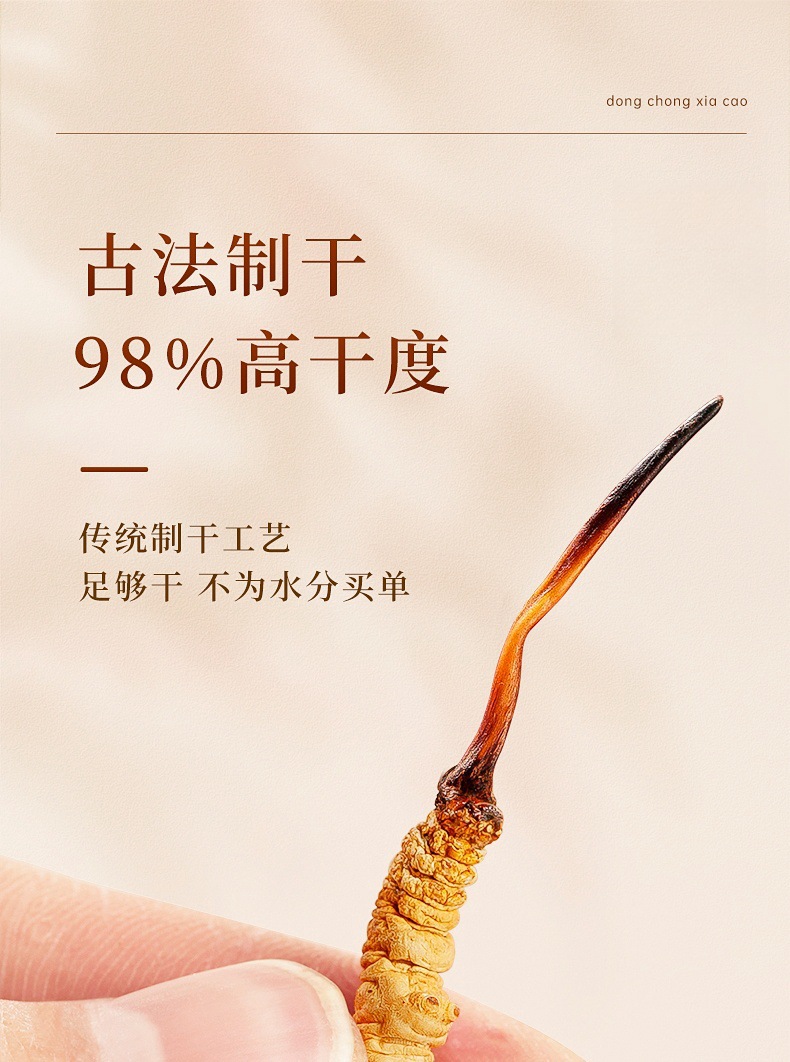 Cordyceps Sinensis Dong Chong Xia Cao Whole Dried Caterpillar Fungus Gift Box 60 Pieces Culinary Herbal Tonic quality and texture