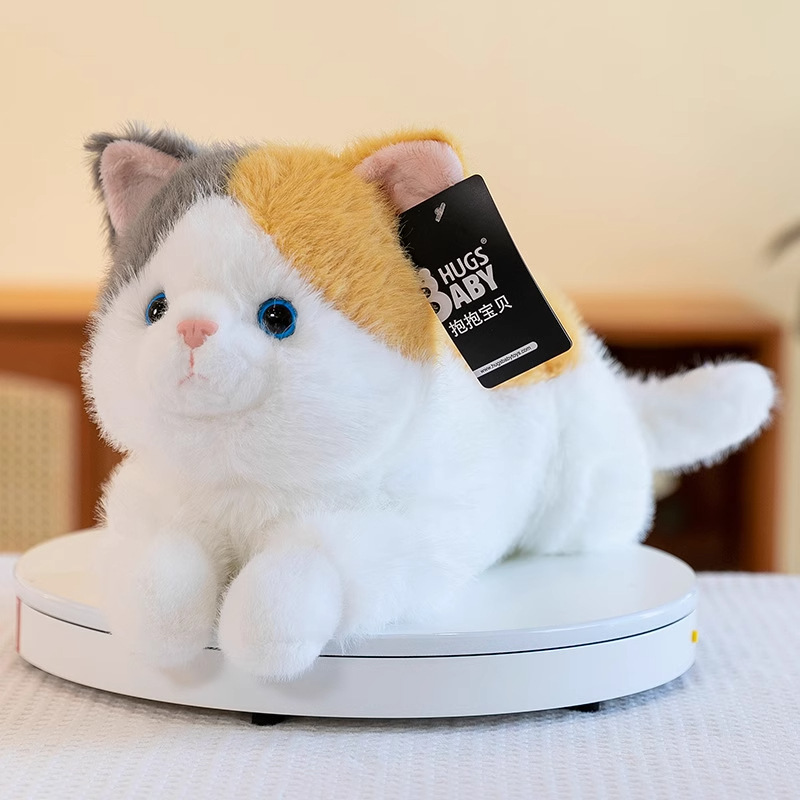 Papa cat - calico cat