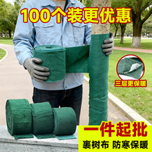 �������o������������ľ�����޷������@��ֲ�ﶬ�����������޲�
