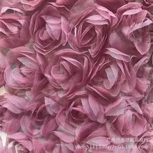 عWwõ廨ѩ̽ P Bȹ鼆YE18