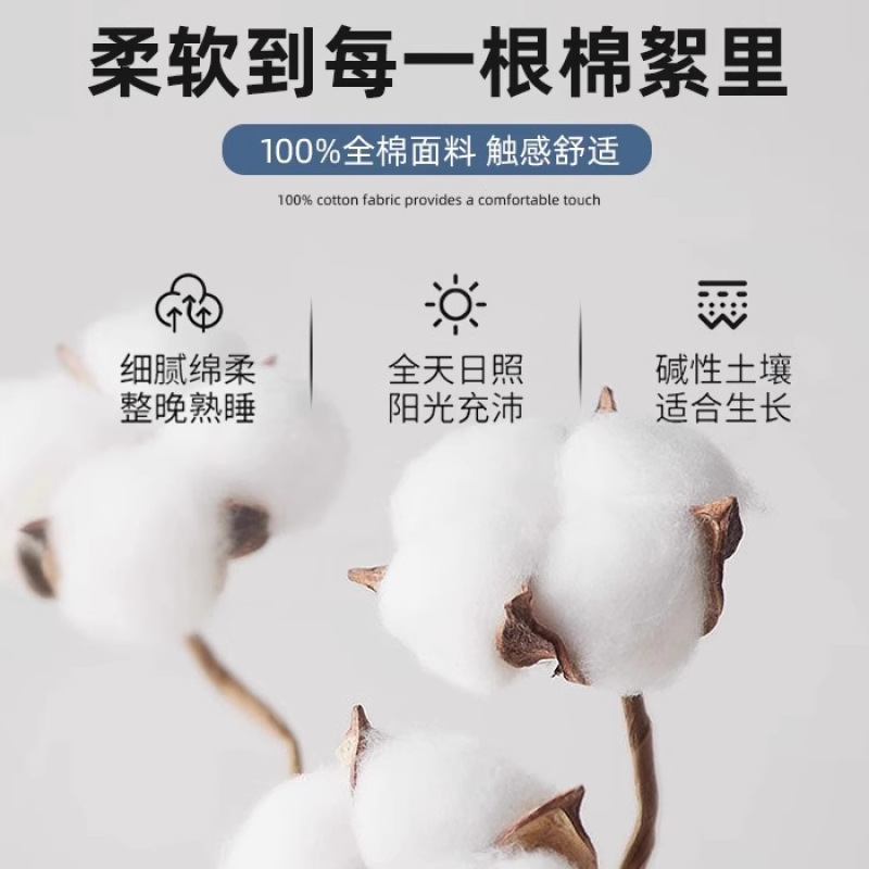 Sombrilla de cama de algodón de hilo de doble capa 2025 nueva funda de cama de algodón puro Simmons funda protectora de colchón sábana funda de cama de tres piezas