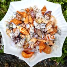 ؐ�����ݺ������׻���ɳ����diy΢���^Ư��ƿ�bߴ��Rȫ