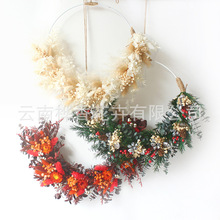 ���R�d�羳���u�ɻ����h��Ȼֲ���������Ҿ��Tǰ��������b�