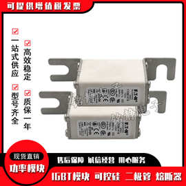 170M2697 170M2698 170M2699 170M2700 170M2701 170M2702熔断器