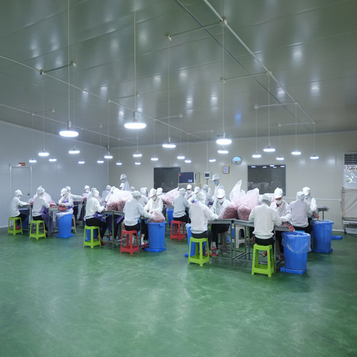 Dried Fruits Manufacturer Wholesale Bulk Net Weight, FD Durian Strips Wholesale Snacks