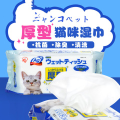 アリス ペット ウェットティッシュ 80 ポンプ テディ ゴールデン レトリバー 犬用ウェットティッシュ 猫用ウェットティッシュ 小型犬用