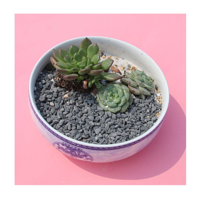 ֱɫʯ | 30-50mmˮϴ׹⾰ʯ̵װô