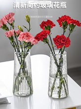 玻璃花瓶ins风北欧透明水养富贵竹客厅桌面鲜花干花插花摆件
