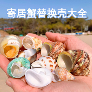 �ľ�з��Q����Ȼ����ؐ���~���쾰�b[���ֹ�DIY�L������ؐ�~