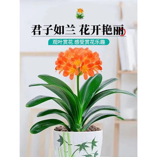 ���ھ����m���ԈA�^���к����m�������͏d�k���҃��m�����ļ��_��