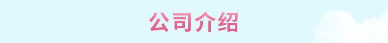 2公司介绍.jpg
