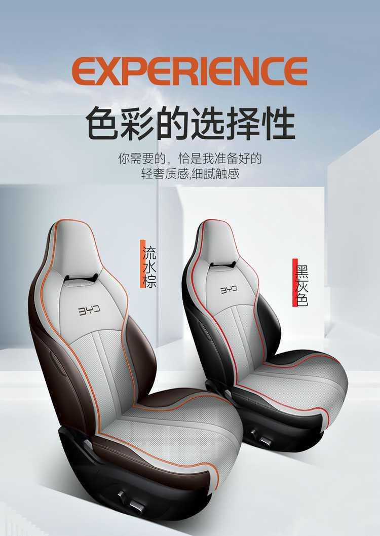 Special Byd Destroyer 05 Seat Cover 2024 Honor Edition 25 Four Seasons All-Inclusive Car Seat Cushion 23 Seat Cover