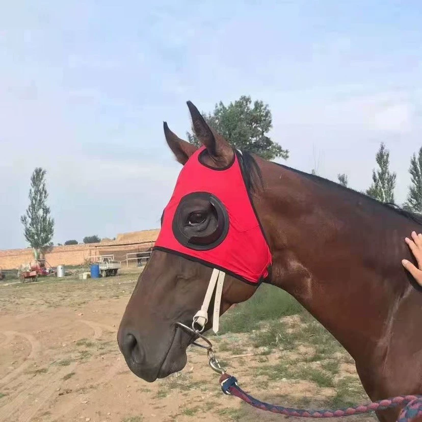 Конское снаряжение, чехол для конской экипировки, ветрозащитная маска для глаз, маска для глаз для скоростных гонок, сетчатая маска для глаз, пескозащитная маска для глаз, маска для головы лошади