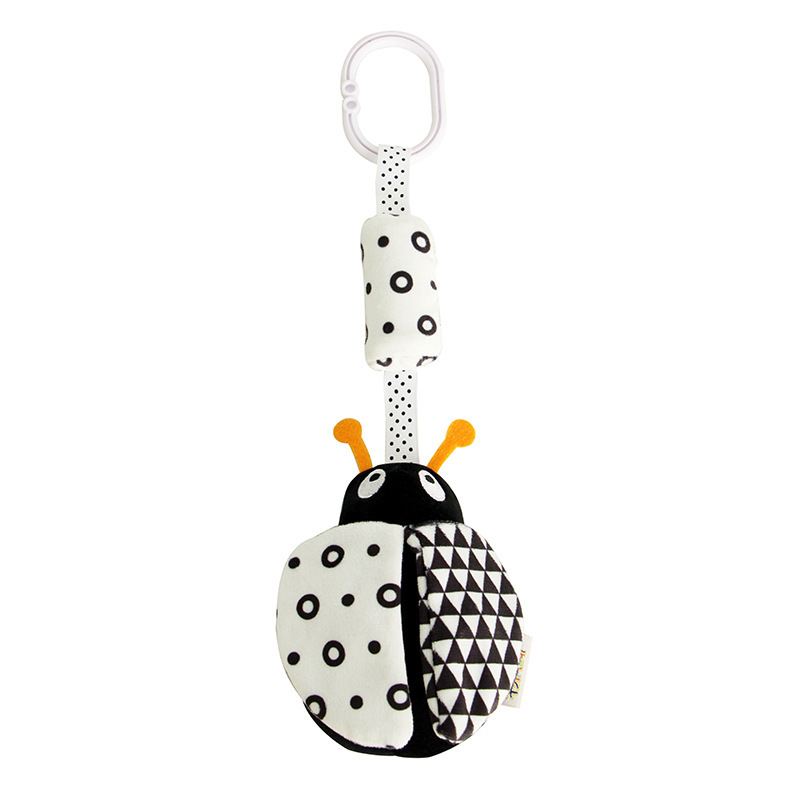 Modelo de Ladybug