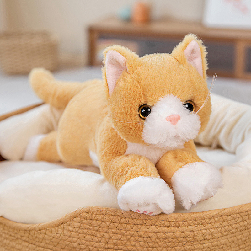 El gatito marrón