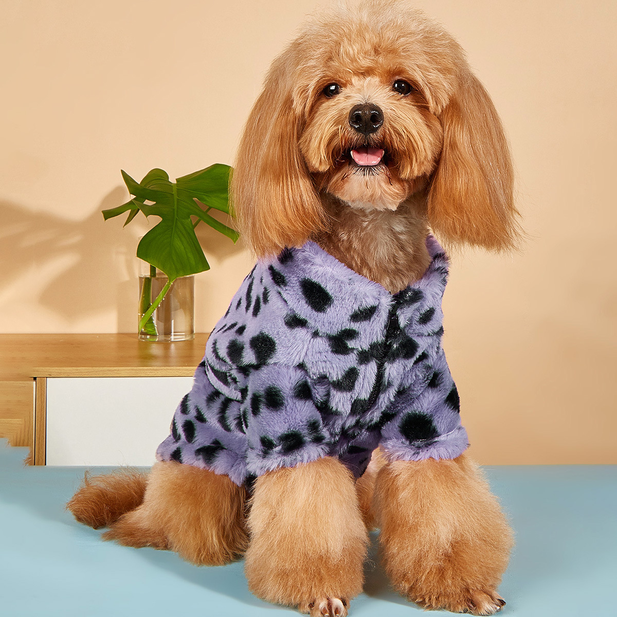 寵物衣服冬季新款紫色豹紋貓咪開衫可愛加厚兔毛拉鏈外套狗狗衣服