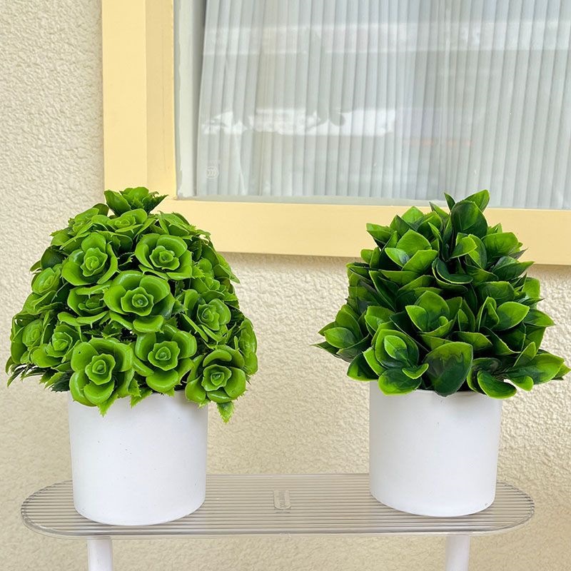 小蔷叶+小果叶+花盆