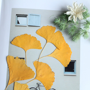 �y���~Ѻ�� ���S���lֲ��˱������ֹ�����diy���z�滨�֙C������