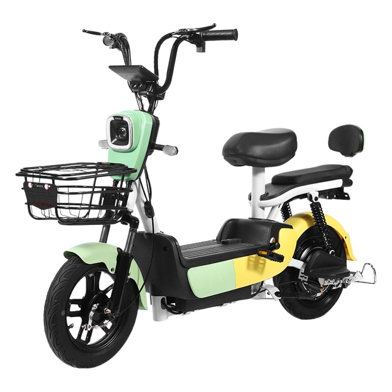 Nueva exportación nueva bicicleta eléctrica estándar nacional 48V adulto de dos ruedas bicicleta eléctrica doble batería coche fábrica al por mayor