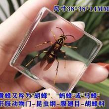 С�����挍���x��֬���x������ϐ��֩��֪�˼��x�˱�����Ʒ�Y��