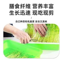 ѿ��˱Pѿ�������P�Nֲ��ѿ����o������ˮ��P���ϷN������P