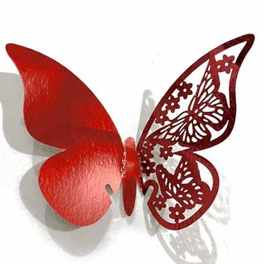 2024-05-02 19:19:51.jpg