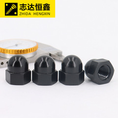 PA66 Nylon Cover Type Hex Nut DIN 1587 Standard Plastic Dust Cover Cap Nut M3-M12