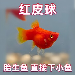 ���N�tƤ��t̫������~С���^�p�~�~��̥���~�Ꭷ�~���ֺ��B�~
