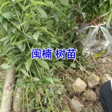 �}�С���}�ϴ����z�ľ���~����~�ľ�㽭骘�2���־Gֲ����