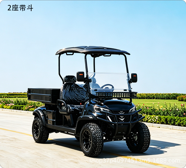 Electric Golf Cart Sightseeing Vehicle 2-10 Seats for Tourist Attractions, Parks, Hotels, Property Tours, and Beach Use