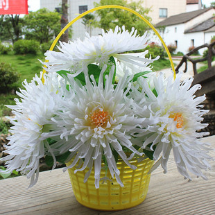 ������������ջ��@�ω�������Ĺ��ǰ�[�Ż�����ٻ������軨�پ�