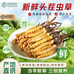 �ߺ����r�x�� �^�����r���x�Ĳ� ���r�x�ݮa��ֱ�����aƷ���l�ͶY