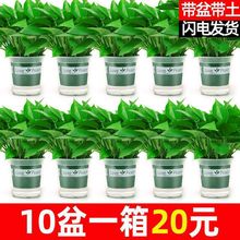 G}҃ȺBȩ՚ˮֲGֲԾGjl