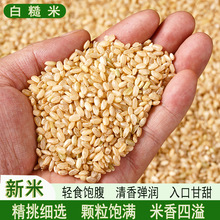 �������׏S��ֱ�l���۰ײ�������s�Z�ּZ�������ʳF���l