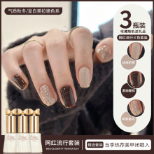 �ﶬ���������½���ָ�����z2026���¿�W�@����ɫ���b���׌���